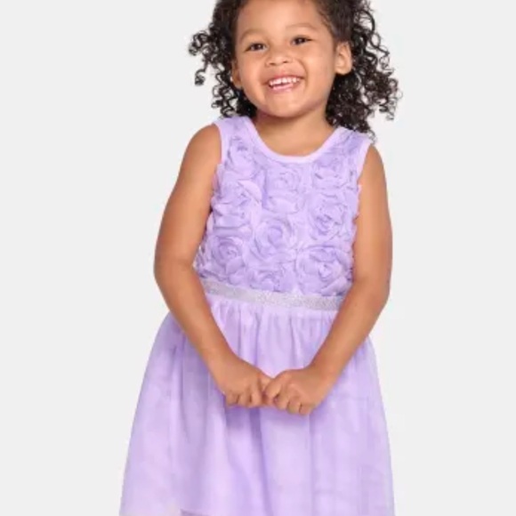 Baby Girls 3D Rosette Mesh Fit and Flare Dress - Purple Size 18-24 Months NWT - Picture 1 of 6